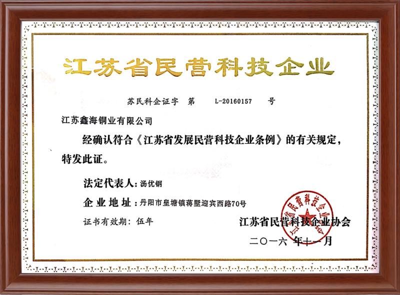 江蘇省民營(yíng)科技企業(yè)